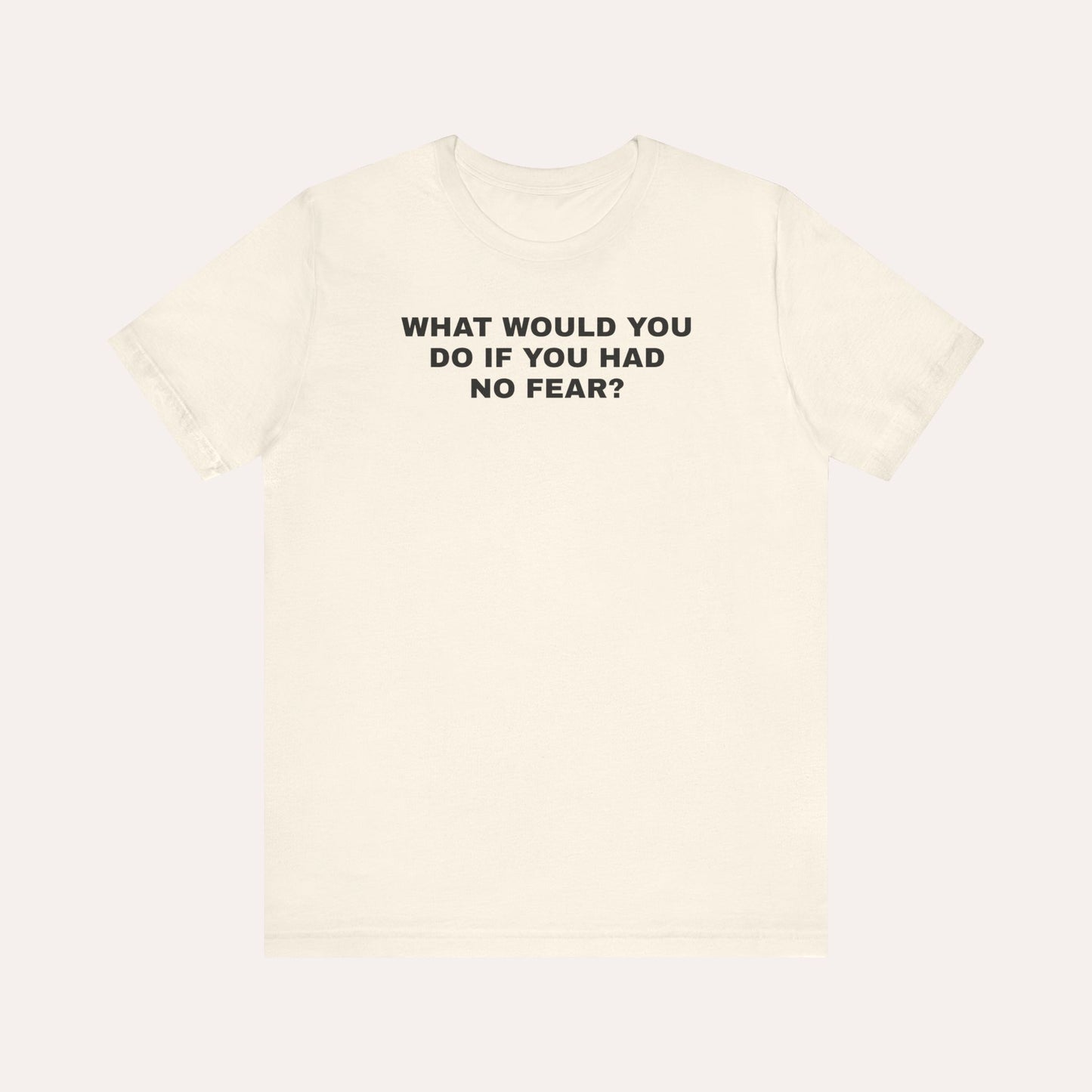 What Would You Do If You Had No Fear T-Shirt