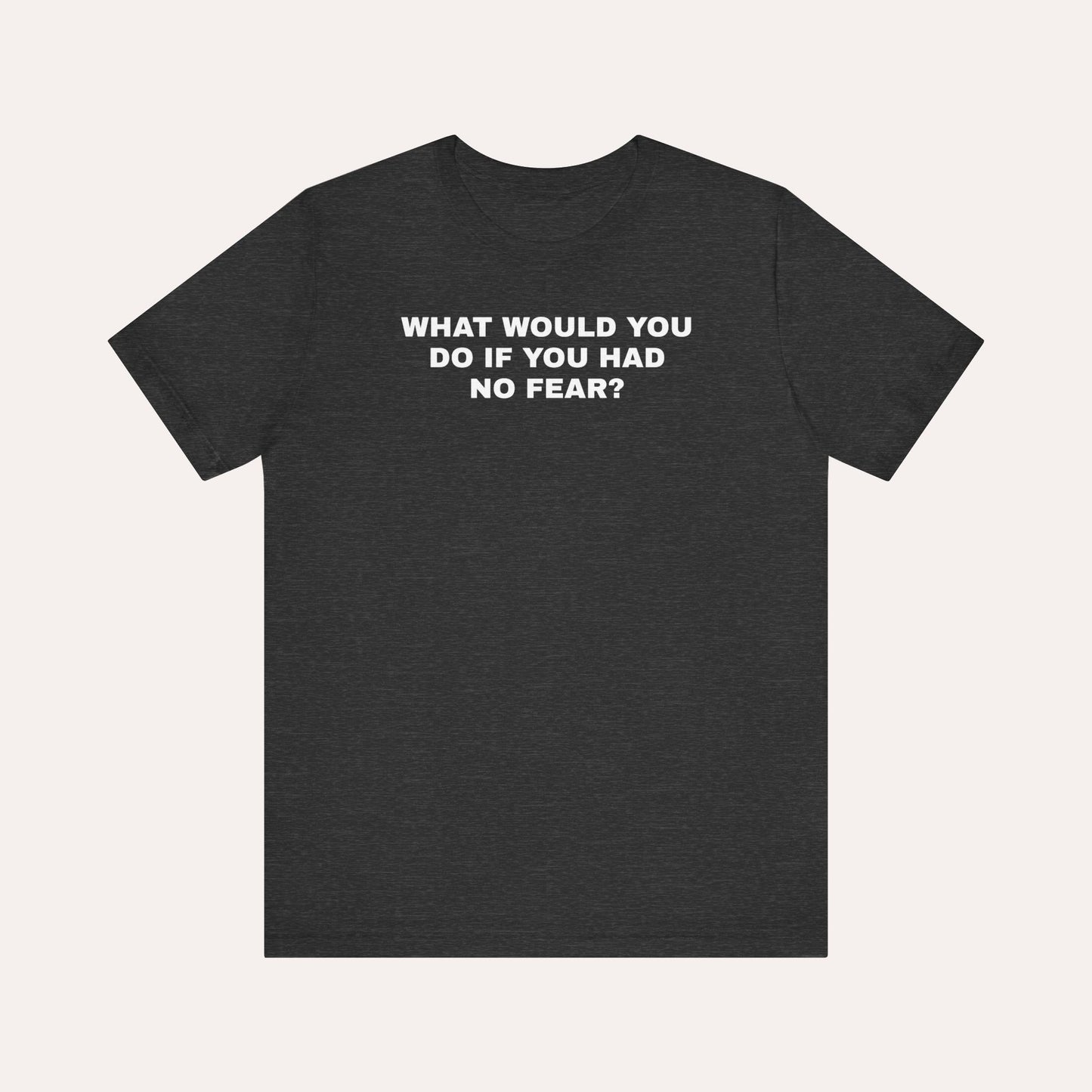 What Would You Do If You Had No Fear T-Shirt