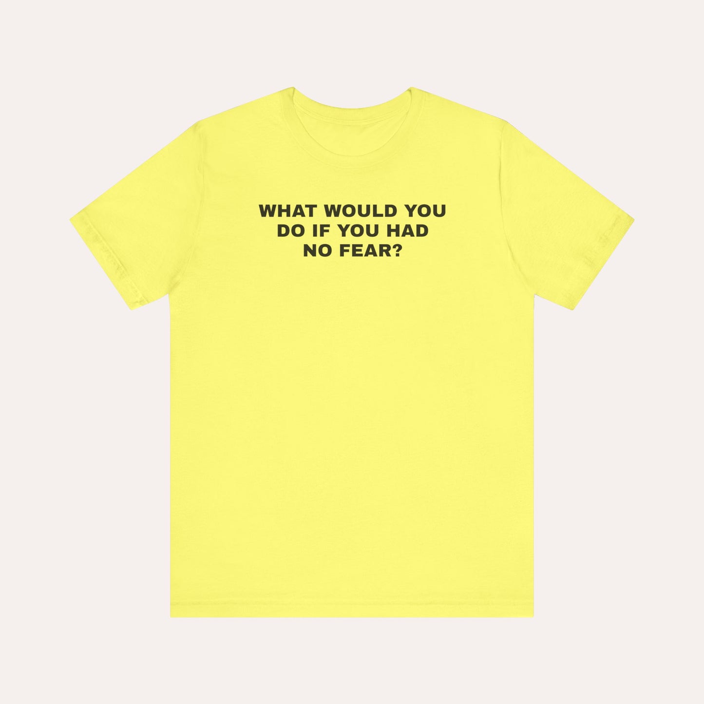 What Would You Do If You Had No Fear T-Shirt