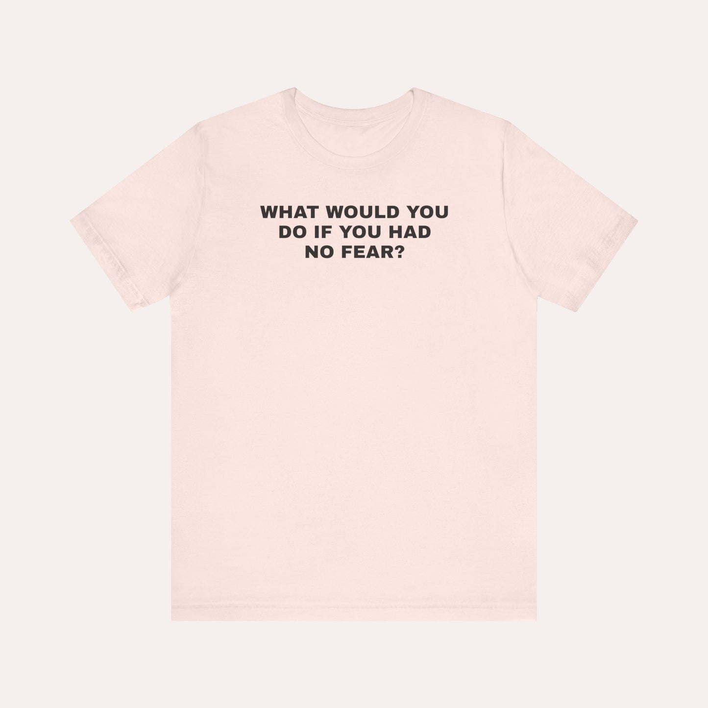 What Would You Do If You Had No Fear T-Shirt